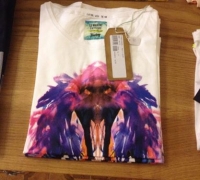 10441048_275735712624365_7171604817033806272_n